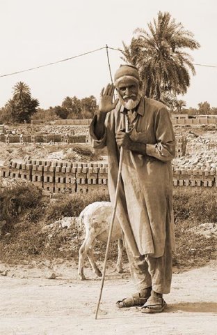 Photograph