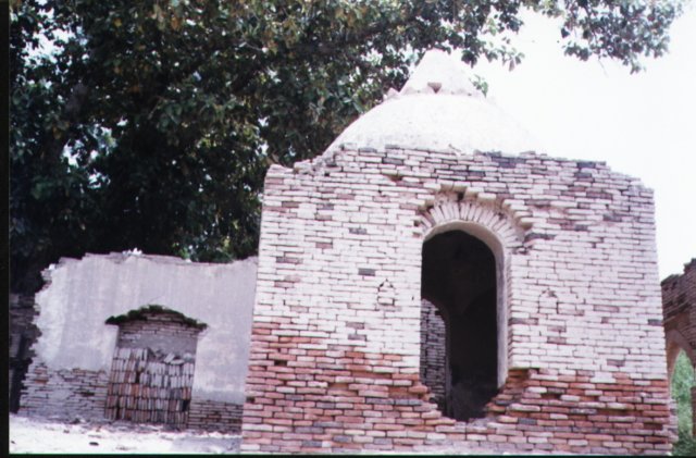 Photograph