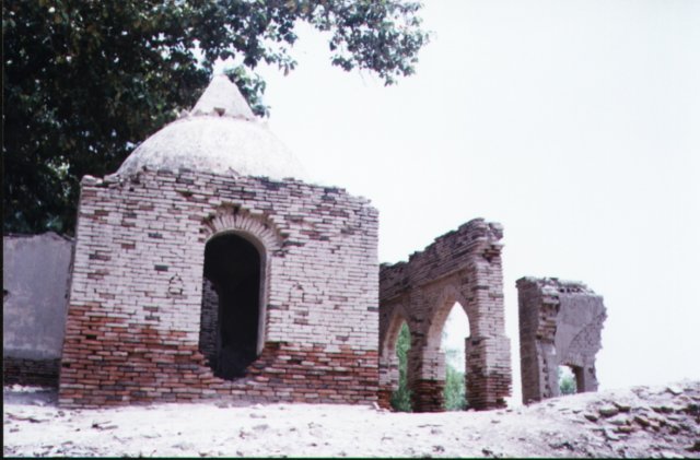 Photograph