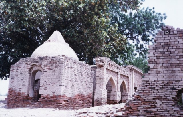 Photograph