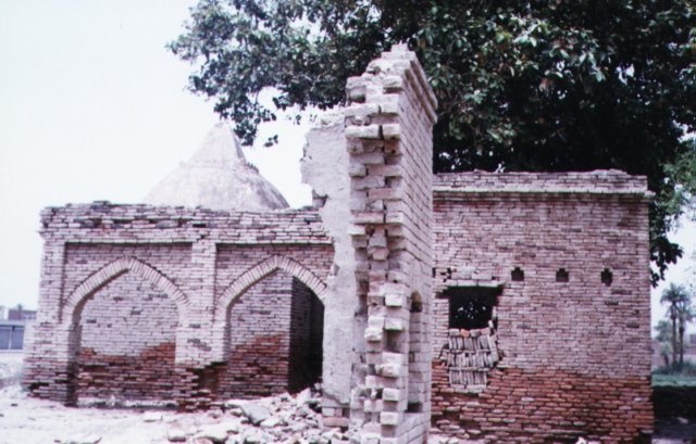 Photograph