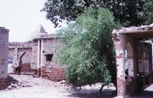 Photograph