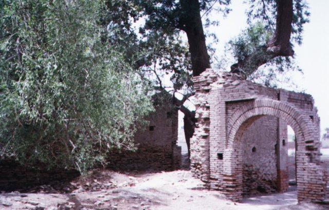 Photograph