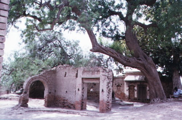 Photograph