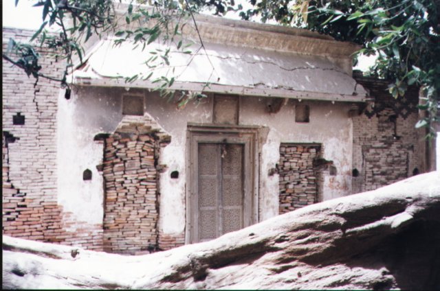 Photograph